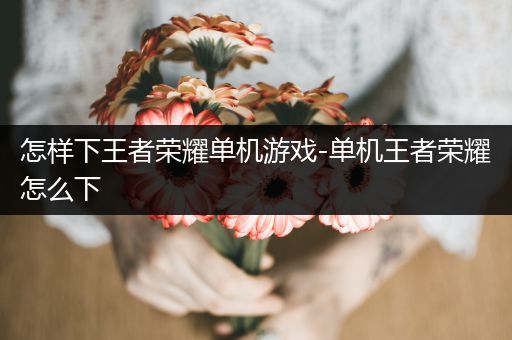 怎样下王者荣耀单机游戏-单机王者荣耀怎么下