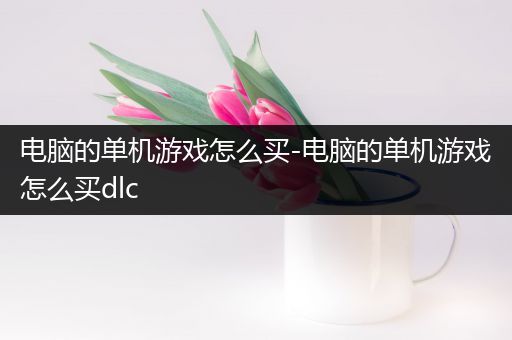 电脑的单机游戏怎么买-电脑的单机游戏怎么买dlc