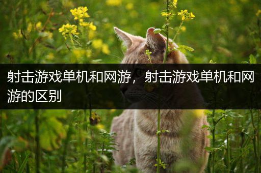 射击游戏单机和网游，射击游戏单机和网游的区别