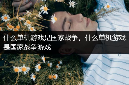 什么单机游戏是国家战争，什么单机游戏是国家战争游戏