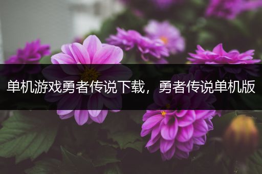 单机游戏勇者传说下载，勇者传说单机版