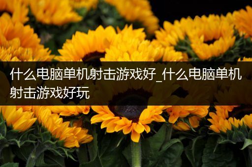 什么电脑单机射击游戏好_什么电脑单机射击游戏好玩