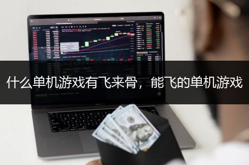 什么单机游戏有飞来骨，能飞的单机游戏