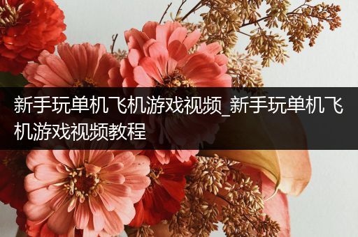新手玩单机飞机游戏视频_新手玩单机飞机游戏视频教程