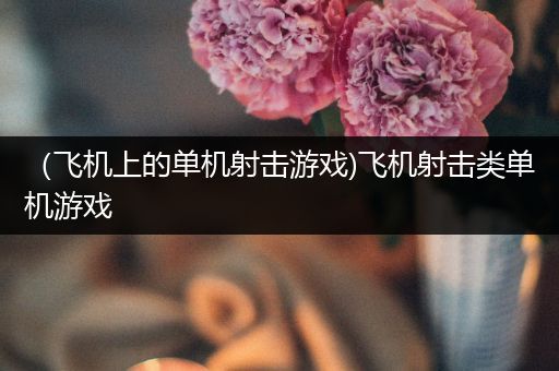 （飞机上的单机射击游戏)飞机射击类单机游戏