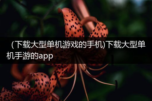 （下载大型单机游戏的手机)下载大型单机手游的app