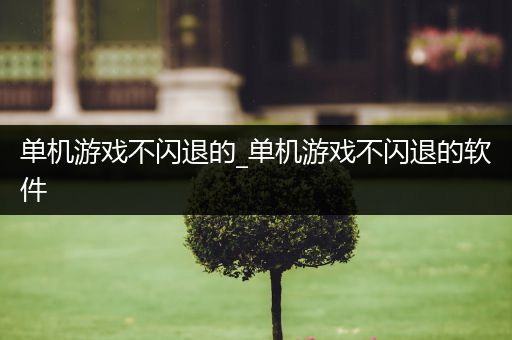 单机游戏不闪退的_单机游戏不闪退的软件