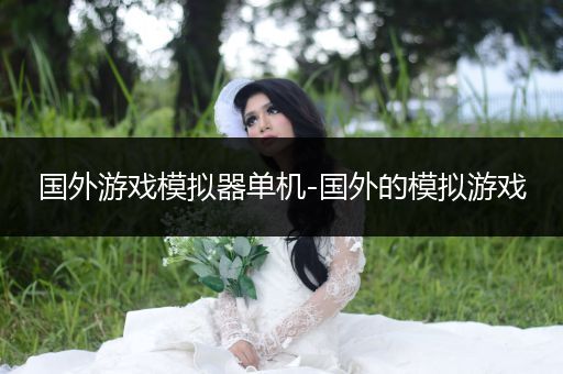 国外游戏模拟器单机-国外的模拟游戏