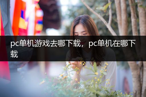 pc单机游戏去哪下载，pc单机在哪下载
