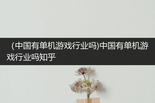 （中国有单机游戏行业吗)中国有单机游戏行业吗知乎