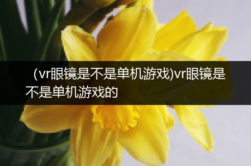（vr眼镜是不是单机游戏)vr眼镜是不是单机游戏的
