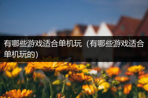 有哪些游戏适合单机玩（有哪些游戏适合单机玩的）