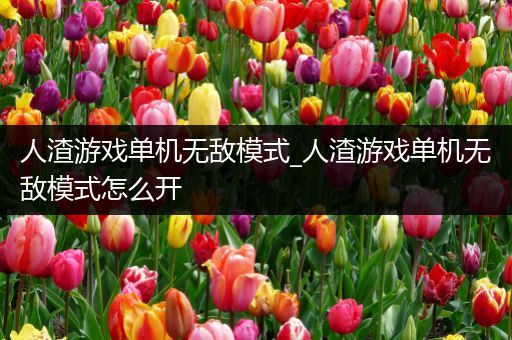 人渣游戏单机无敌模式_人渣游戏单机无敌模式怎么开