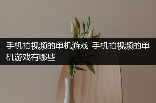 手机拍视频的单机游戏-手机拍视频的单机游戏有哪些