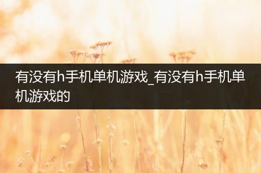 有没有h手机单机游戏_有没有h手机单机游戏的
