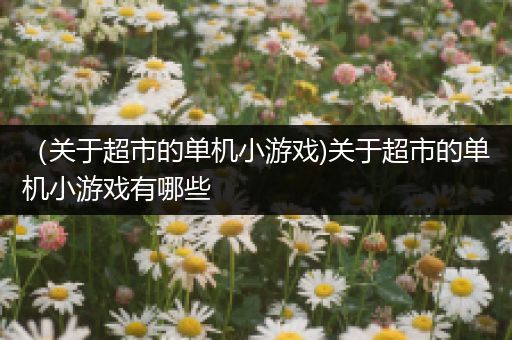（关于超市的单机小游戏)关于超市的单机小游戏有哪些