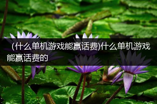 （什么单机游戏能赢话费)什么单机游戏能赢话费的