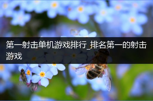 第一射击单机游戏排行_排名第一的射击游戏