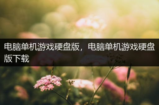 电脑单机游戏硬盘版，电脑单机游戏硬盘版下载