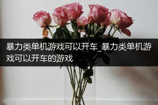 暴力类单机游戏可以开车_暴力类单机游戏可以开车的游戏