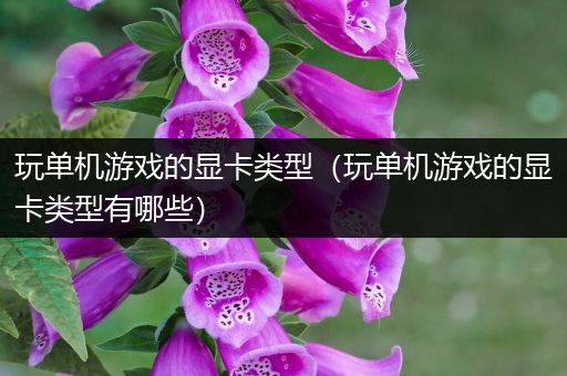 玩单机游戏的显卡类型（玩单机游戏的显卡类型有哪些）
