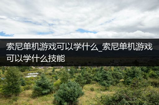 索尼单机游戏可以学什么_索尼单机游戏可以学什么技能