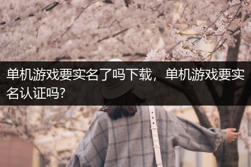 单机游戏要实名了吗下载，单机游戏要实名认证吗?