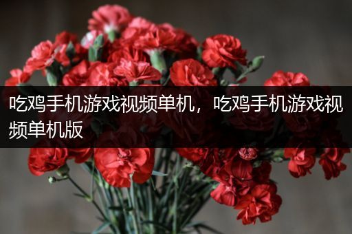 吃鸡手机游戏视频单机，吃鸡手机游戏视频单机版