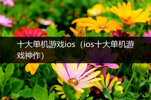 十大单机游戏ios（ios十大单机游戏神作）