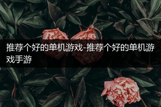 推荐个好的单机游戏-推荐个好的单机游戏手游