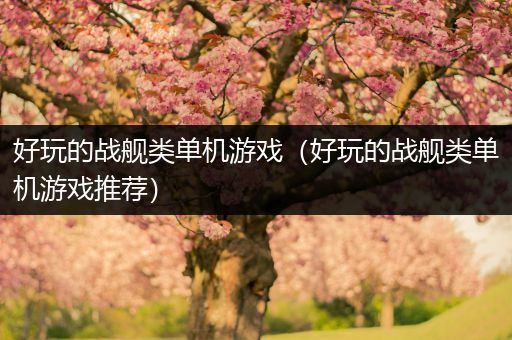 好玩的战舰类单机游戏（好玩的战舰类单机游戏推荐）