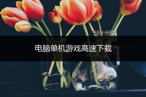 电脑单机游戏高速下载