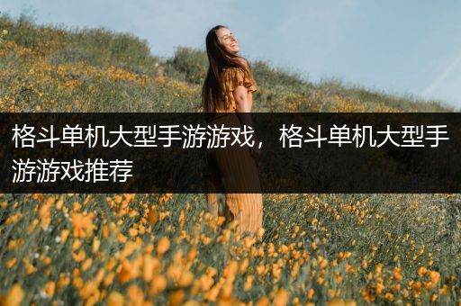 格斗单机大型手游游戏，格斗单机大型手游游戏推荐