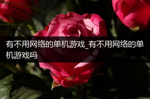 有不用网络的单机游戏_有不用网络的单机游戏吗
