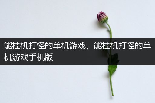 能挂机打怪的单机游戏，能挂机打怪的单机游戏手机版