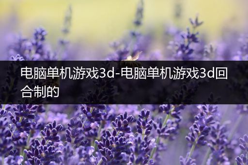 电脑单机游戏3d-电脑单机游戏3d回合制的