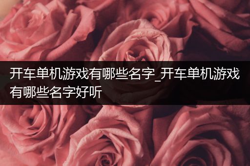 开车单机游戏有哪些名字_开车单机游戏有哪些名字好听