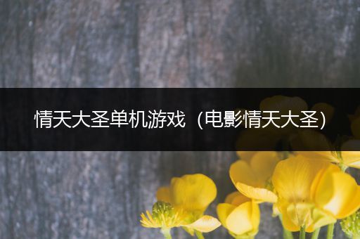 情天大圣单机游戏（电影情天大圣）