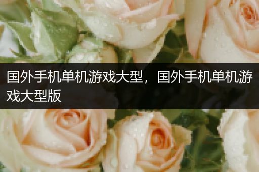 国外手机单机游戏大型，国外手机单机游戏大型版