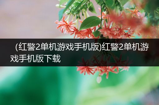 （红警2单机游戏手机版)红警2单机游戏手机版下载
