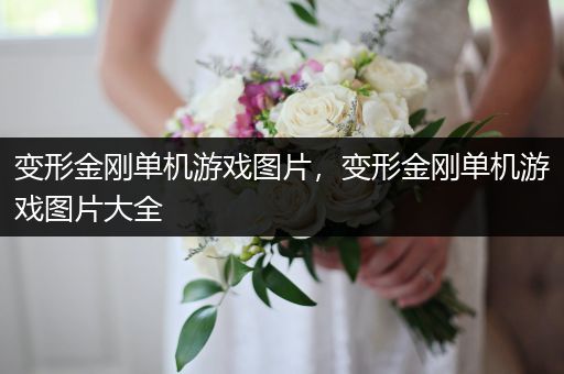 变形金刚单机游戏图片，变形金刚单机游戏图片大全