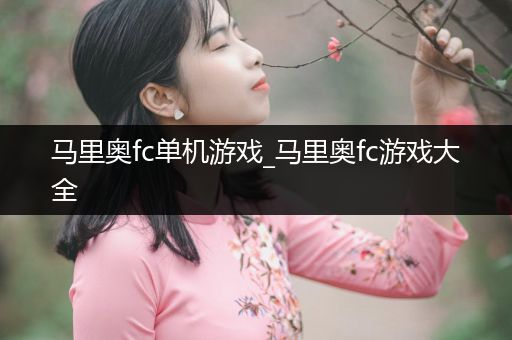 马里奥fc单机游戏_马里奥fc游戏大全