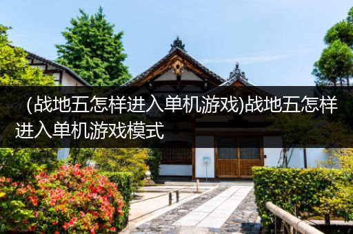 （战地五怎样进入单机游戏)战地五怎样进入单机游戏模式