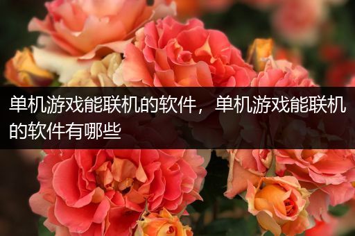 单机游戏能联机的软件，单机游戏能联机的软件有哪些