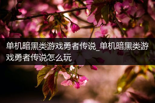 单机暗黑类游戏勇者传说_单机暗黑类游戏勇者传说怎么玩