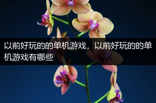 以前好玩的的单机游戏，以前好玩的的单机游戏有哪些