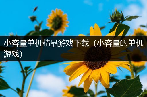 小容量单机精品游戏下载（小容量的单机游戏）