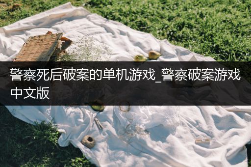 警察死后破案的单机游戏_警察破案游戏中文版