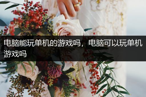 电脑能玩单机的游戏吗，电脑可以玩单机游戏吗