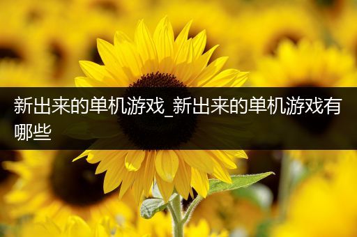 新出来的单机游戏_新出来的单机游戏有哪些